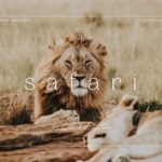 5 Safari Lightroom Presets | Mobile + Desktop