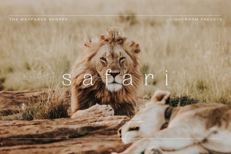 Safari Lightroom Preset