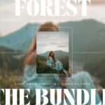 Forest Lightroom Presets + Video Filters Bundle