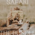 Safari Lightroom Presets + Video Filters Bundle