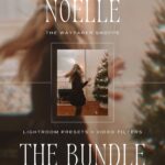 Noelle Lightroom Presets + Video Filters Bundle